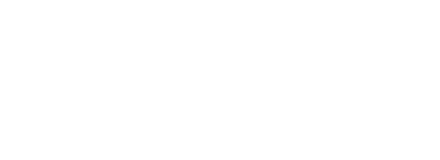 Shared Services & Outsourcing Week Middle East & Africa