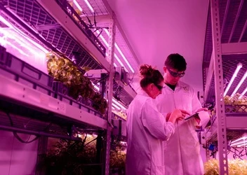 Process Excellence Network