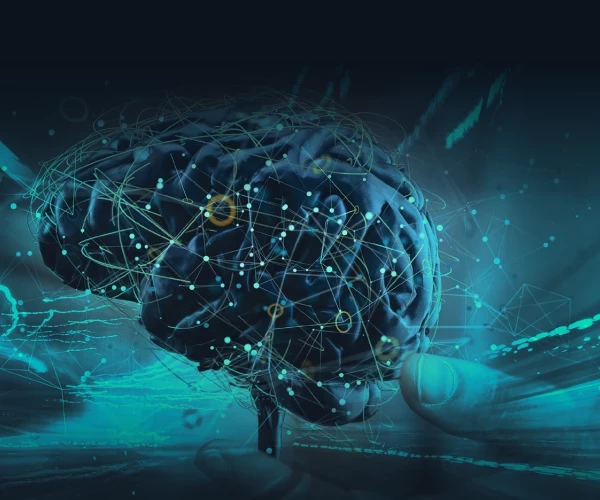 Corporate Learning Network