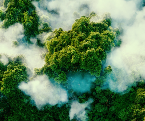 INSIGHT REPORT: 5 Key Operational Pathways to Accelerate Industrial ...