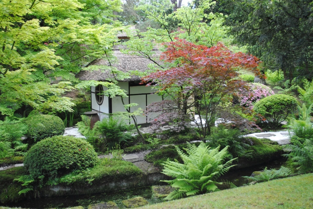 Japanese garden with tea house at Tatton Park