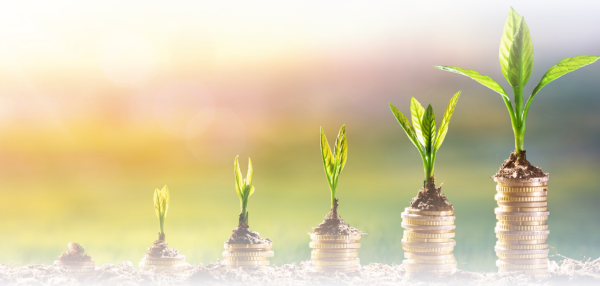 ROI trends in customer experienec