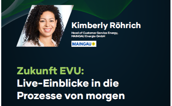 Interview: Kundenservice neu denken - Warum der klassische EVU-Ansatz ausgedient hat