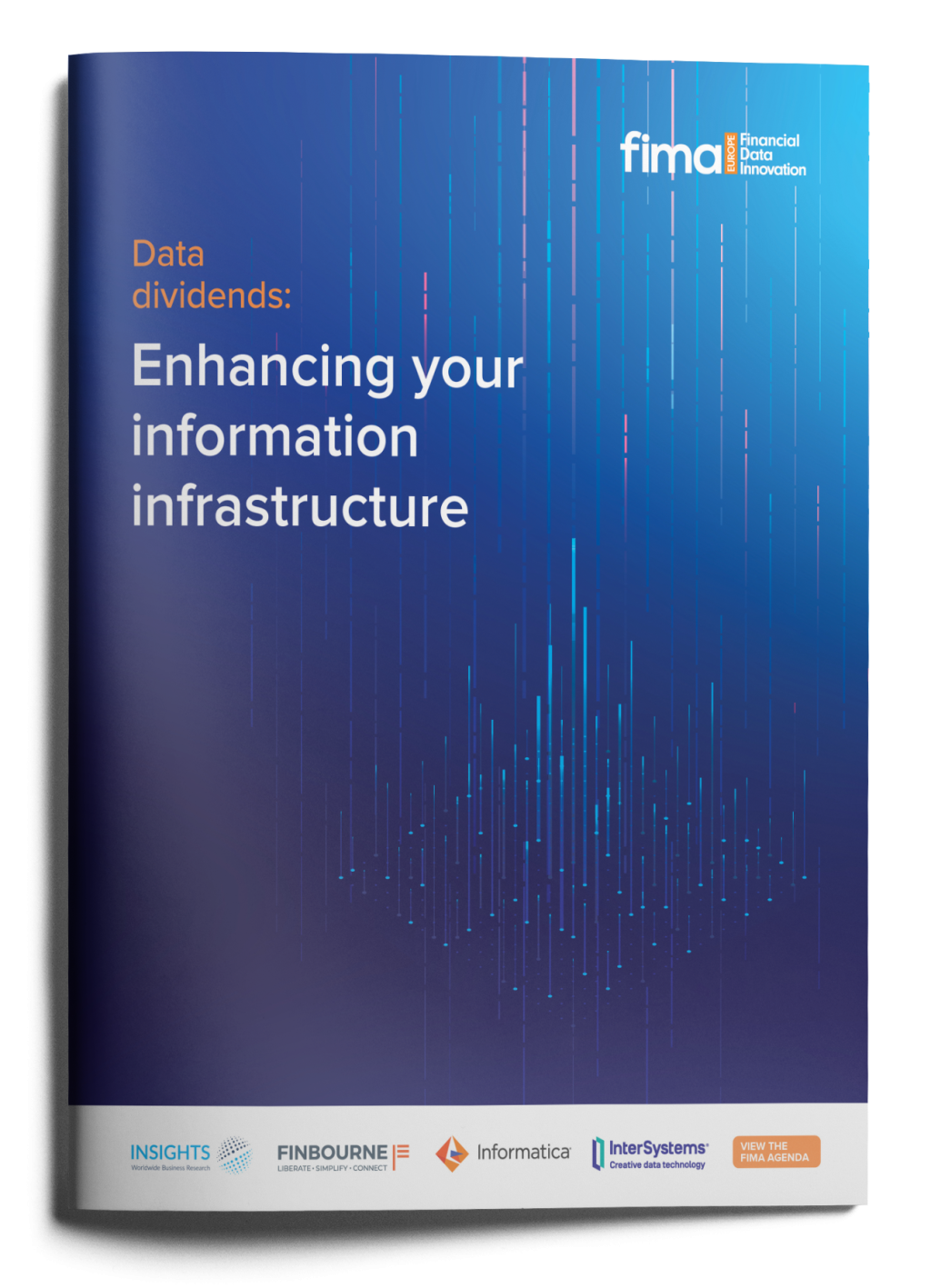 Data dividends: Enhancing your information infrastructure
