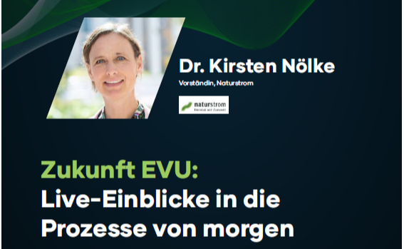 Interview: Dynamische Tarife als Game Changer - Wie die Energiewende beim Kunden ankommt