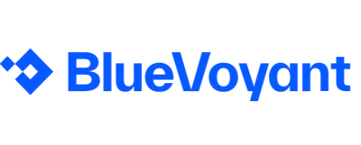 BlueVoyant Germany GmbH