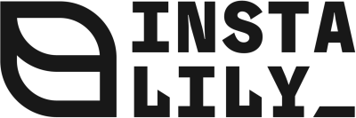 InstaLILY AI