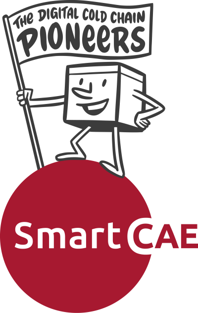 SmartCAE