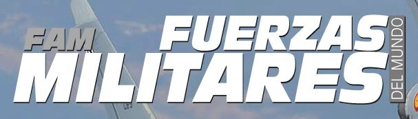 Fuerzas Militares del Mundo
