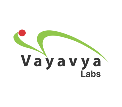 Vayavya Labs