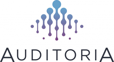 Auditoria AI