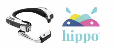 Hippo Virtual Health Solutions
