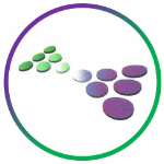 Independent Consultants Network Logo