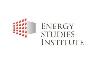 Energy Studies Institute