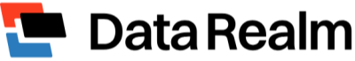 Data Realm Logo