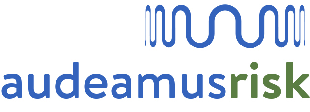 Audeamus Risk Logo