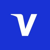 Visa Inc Logo