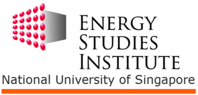 Energy Studies Institute