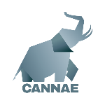 Cannae Portfolio Advisors Logo