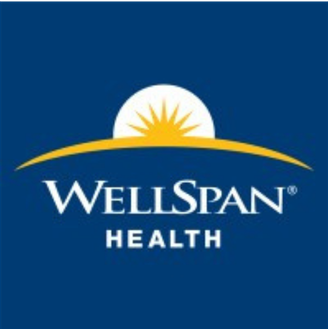 Wellspan Medical Group Logo