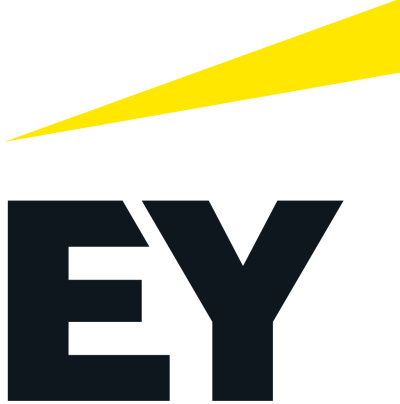 EY Consulting