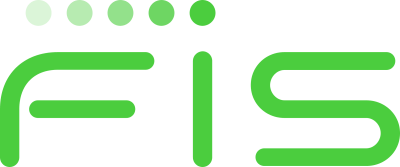 FSI