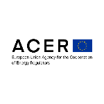 ACER Logo