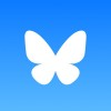 Bluesky Social