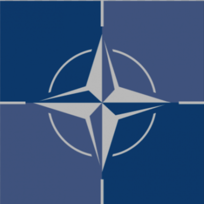 Mihaela Sorostrianan, GIS Project Manager, Geospatial Section at NATO HQ