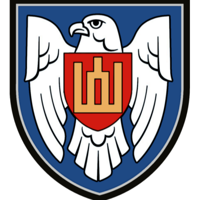 Lieutenant Colonel Aušrius Buikus