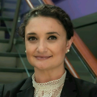 Berfun Goodwin, Head of Digital Marketing Strategy and Analytics at Milliporesigma