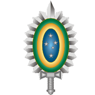 Senior Representative