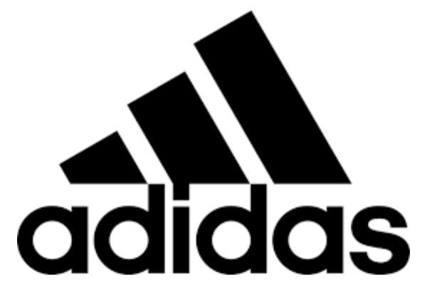 Attending organisation logo 2