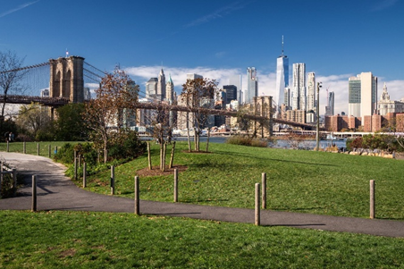 Brooklyn Bridge Park