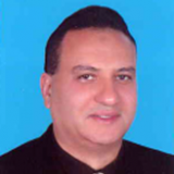 Prof. Hesham  El Shazly