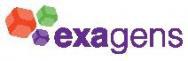 Exagens Logo