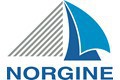 Norgine Logo