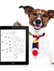 10 Considerations for Insurers: Balancing Claims Process Improvement and Customer Experience