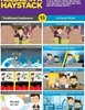 Needle in Haystack Infographic
